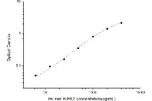 Receptor-Interacting Serine-threonine Kinase 2 (RIPK2) ELISA Kit