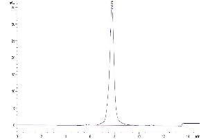Size-exclusion chromatography-High Pressure Liquid Chromatography (SEC-HPLC) image for Growth Differentiation Factor 15 (GDF15) protein (Fc Tag,Biotin) (ABIN7274720)