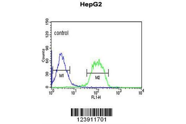 anti-F-Box Protein 3 (FBXO3) (AA 395-422), (C-Term) antibody