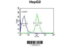 Image no. 3 for anti-Serine (Or Cysteine) Peptidase Inhibitor, Clade C (Antithrombin), Member 1 (SERPINC1) (AA 364-393), (C-Term) antibody (ABIN390671)