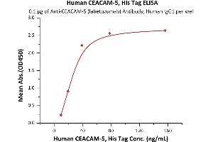 Image no. 2 for Carcinoembryonic Antigen-Related Cell Adhesion Molecule 5 (CEACAM5) (AA 35-685) protein (His tag) (ABIN6253522)