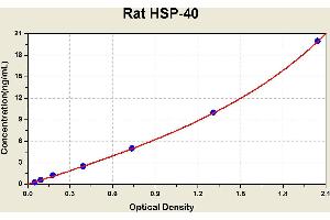 Diagramm of the ELISA kit to detect Rat HSP-40with the optical density on the x-axis and the concentration on the y-axis.