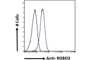 Image no. 1 for anti-Roundabout, Axon Guidance Receptor, Homolog 3 (ROBO3) (Internal Region) antibody (ABIN5539585)