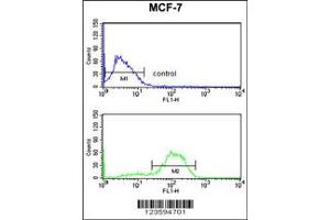 Flow Cytometry (FACS) image for anti-Diacylglycerol Lipase, beta (DAGLB) antibody (ABIN2158483)