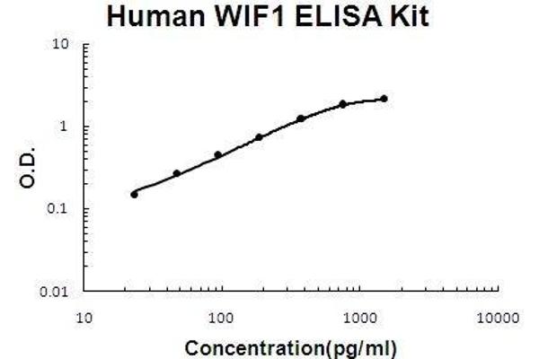 WNT Inhibitory Factor 1 (WIF1) ELISA Kit