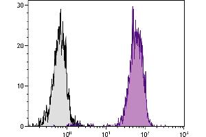 Image no. 1 for anti-MHC, Class I antibody (FITC) (ABIN135564)