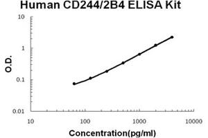 Image no. 1 for Natural Killer Cell Receptor 2B4 (CD244) ELISA Kit (ABIN6720218)