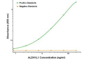 Image no. 2 for anti-Aldehyde Dehydrogenase 1 Family, Member L1 (ALDH1L1) antibody (ABIN2715903)