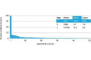 Analysis of Protein Array containing more than 19,000 full-length human proteins using Mouse Glypican-3 Recombinant Monoclonal Antibody (rGPC3/863) Z- and S- Score: The Z-score represents the strength of a signal that a monoclonal antibody (MAb) (in combination with a fluorescently-tagged anti-IgG secondary antibody) produces when binding to a particular protein on the HuProtTM array.