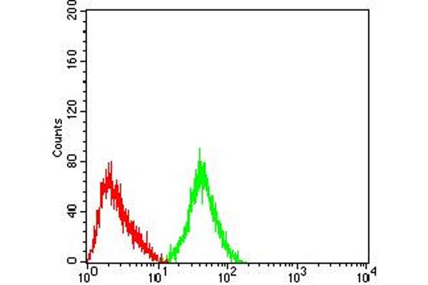 Metabotropic Glutamate Receptor 3 antibody  (AA 433-576)