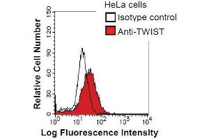 Image no. 1 for anti-Twist Homolog 1 (Drosophila) (TWIST1) antibody (ABIN933111)