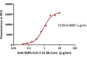 Binding of RBD coupled protein to Anti-SARS-CoV-2 S1 antibody:0.