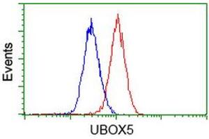 Image no. 1 for anti-U-Box Domain Containing 5 (UBOX5) (AA 1-130), (AA 419-487) antibody (ABIN1490569)