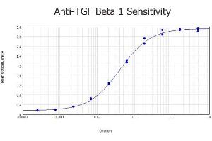 Image no. 1 for anti-Transforming Growth Factor, beta 1 (TGFB1) antibody (ABIN107740)