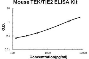 Image no. 1 for TEK Tyrosine Kinase, Endothelial (TEK) ELISA Kit (ABIN1672877)