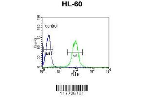 Image no. 3 for anti-Bactericidal/Permeability Increasing Protein (BPI) (AA 293-324) antibody (ABIN653003)