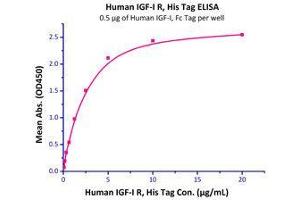 Immobilized Human IGF-I, Fc Tag (Cat# IG1-H4269) at 5 μg/mL (100 µl/well),can bind Human IGFBP-3, His Tag (Cat# IG3-H5229) with a linear range of 0.