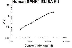 Image no. 1 for Sphingosine Kinase 1 (SPHK1) ELISA Kit (ABIN5510666)