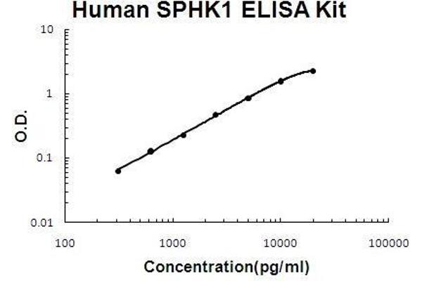 SPHK1 ELISA 试剂盒