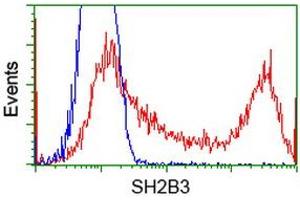 Image no. 2 for anti-SH2B Adaptor Protein 3 (SH2B3) antibody (ABIN2731950)