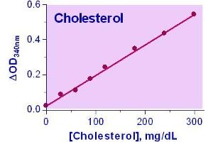 Biochemical Assay (BCA) image for Cholesterol Assay Kit (ABIN1000297)