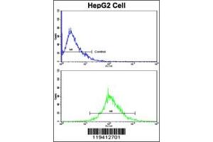 Flow Cytometry (FACS) image for anti-Cathepsin B (CTSB) antibody (ABIN2158401)