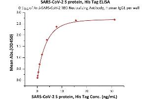 Image no. 5 for SARS-CoV-2 Spike (Super Stable Trimer) protein (His tag) (ABIN6953299)