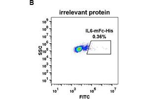 Image no. 4 for Interleukin 6 (IL6) protein (mFc-His Tag) (ABIN6961105)