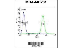 Image no. 2 for anti-FK506 Binding Protein 1A, 12kDa (FKBP1A) (AA 55-83), (C-Term) antibody (ABIN1882082)