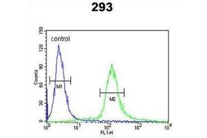 Flow Cytometry (FACS) image for anti-EPS8-Like 3 (EPS8L3) antibody (ABIN3002873)