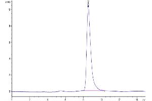 Size-exclusion chromatography-High Pressure Liquid Chromatography (SEC-HPLC) image for Interleukin 7 (IL7) protein (ABIN7274963)
