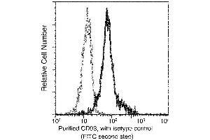 Image no. 1 for anti-CD93 (CD93) (AA 1-580) antibody (ABIN6925023)