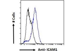 Image no. 5 for anti-Intercellular Adhesion Molecule 1 (ICAM1) (AA 313-327) antibody (ABIN2613438)