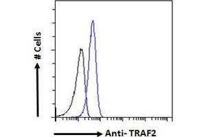 Image no. 6 for anti-TNF Receptor-Associated Factor 2 (TRAF2) (C-Term) antibody (ABIN190911)