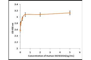 Image no. 1 for Defensin, beta 103A (DEFB103A) (Active) protein (ABIN5509283)