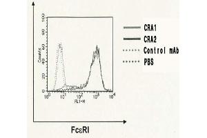 Image no. 1 for anti-Fc Fragment of IgE Receptor Ia (FCER1A) (AA 85-172) antibody (FITC) (ABIN2451978)
