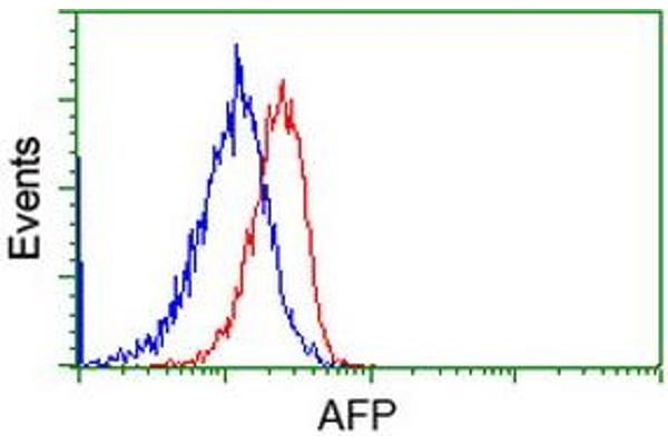 alpha Fetoprotein anticorps