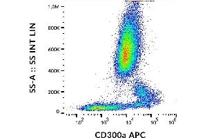 Image no. 1 for anti-CD300a (CD300A) antibody (APC) (ABIN6240821)