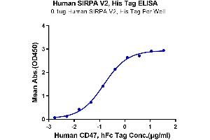 Image no. 3 for SIRP AlphaV2 protein (His tag) (ABIN7275653)