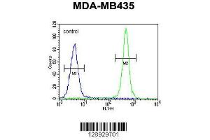 Image no. 1 for anti-AlkB, Alkylation Repair Homolog 6 (ALKBH6) (AA 116-145) antibody (ABIN655230)