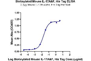 IL-17A/F Protein (His-Avi Tag,Biotin)