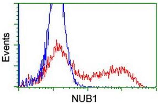 NUB1 anticorps  (AA 1-326)