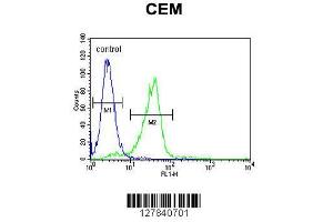 Image no. 1 for anti-Chromosome 11 Open Reading Frame 74 (C11ORF74) (AA 190-220), (C-Term) antibody (ABIN654535)