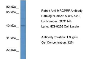 Image no. 1 for anti-MAS-Related GPR, Member F (Mrgprf) (C-Term) antibody (ABIN2788261)