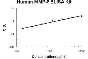 MMP8 ELISA Kit