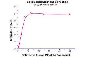 Binding Studies (Bind) image for Tumor Necrosis Factor alpha (TNF alpha) (AA 77-233) (Active) protein (Biotin) (ABIN2181833)