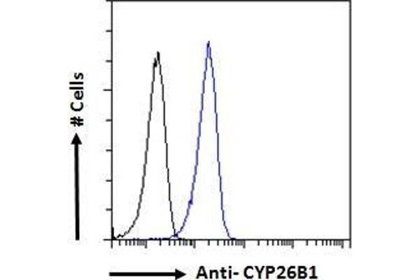 anti-Cytochrome P450, Family 26, Subfamily B, Polypeptide 1 (CYP26B1) (Internal Region) antibody