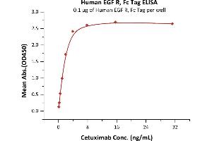 Immobilized Human EGF R, Fc Tag (ABIN2181001,ABIN2181000) at 1 μg/mL (100 μL/well) can bind Cetuximab with a linear range of 0.