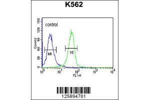 Flow Cytometry (FACS) image for anti-EFR3 Homolog A (EFR3A) antibody (ABIN2158644)