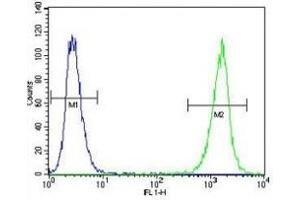 LCK antibody  (AA 23-52)